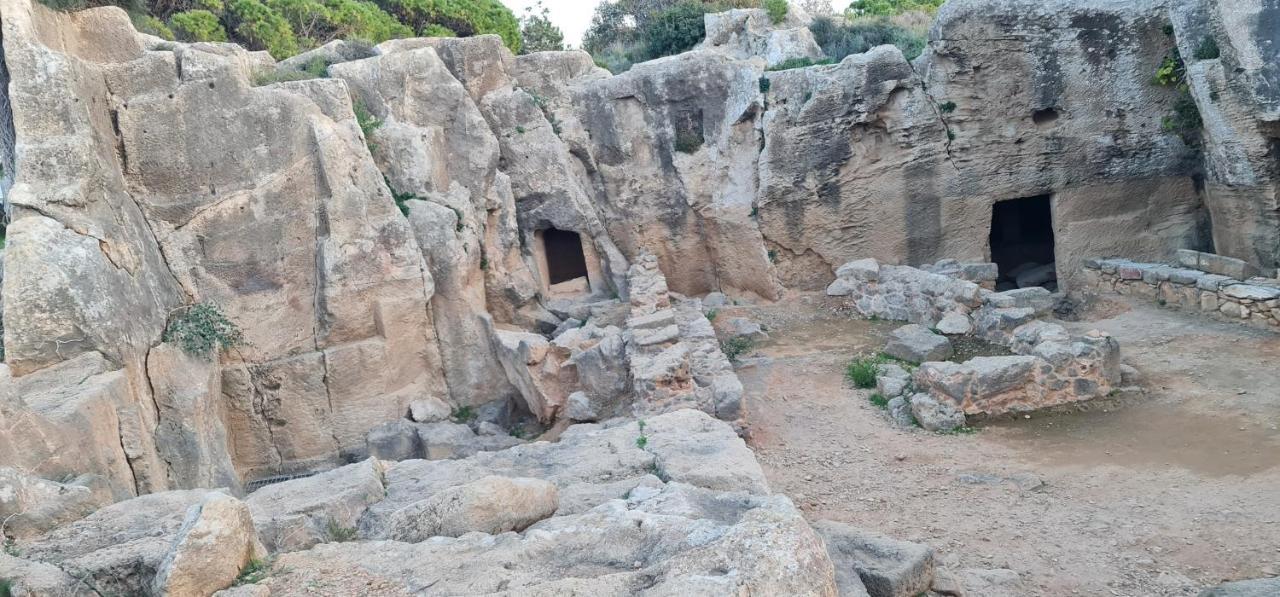 Bee Hostel Paphos מראה חיצוני תמונה